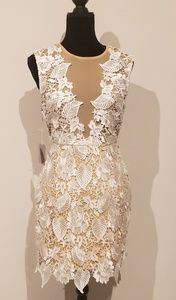 NWT sheer panel lace dress